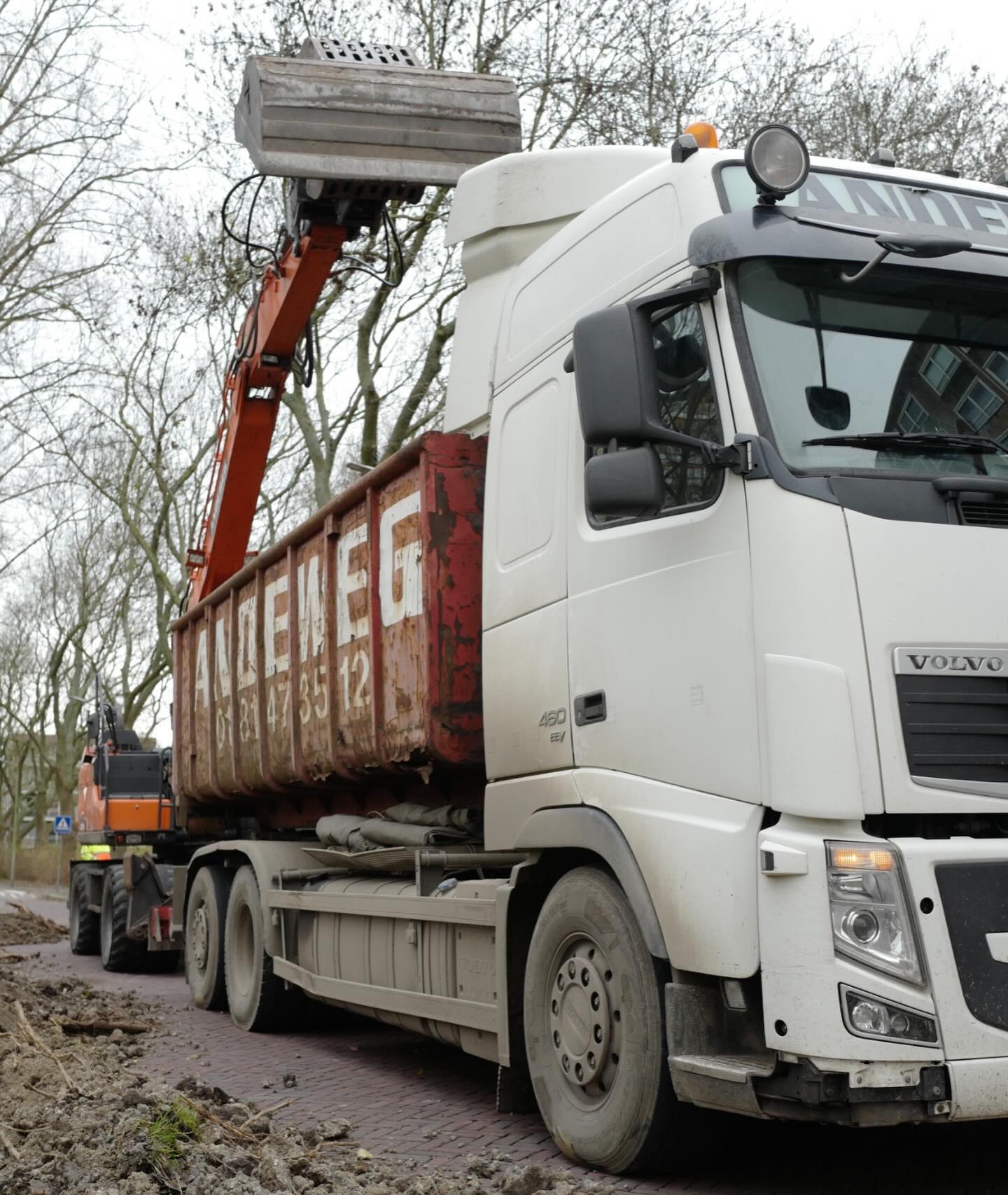 Bomen kappen in Delft - Afbeelding 4