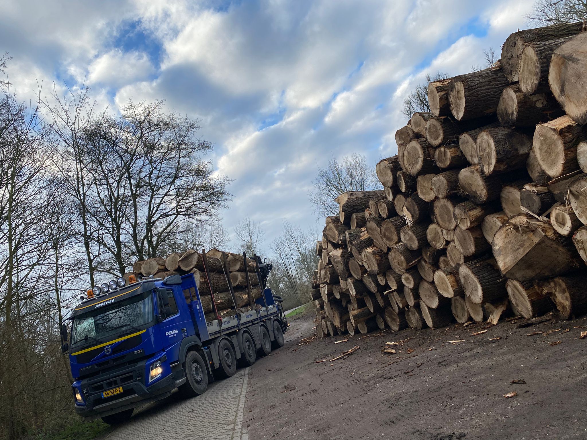 Van boomstam tot tafelblad